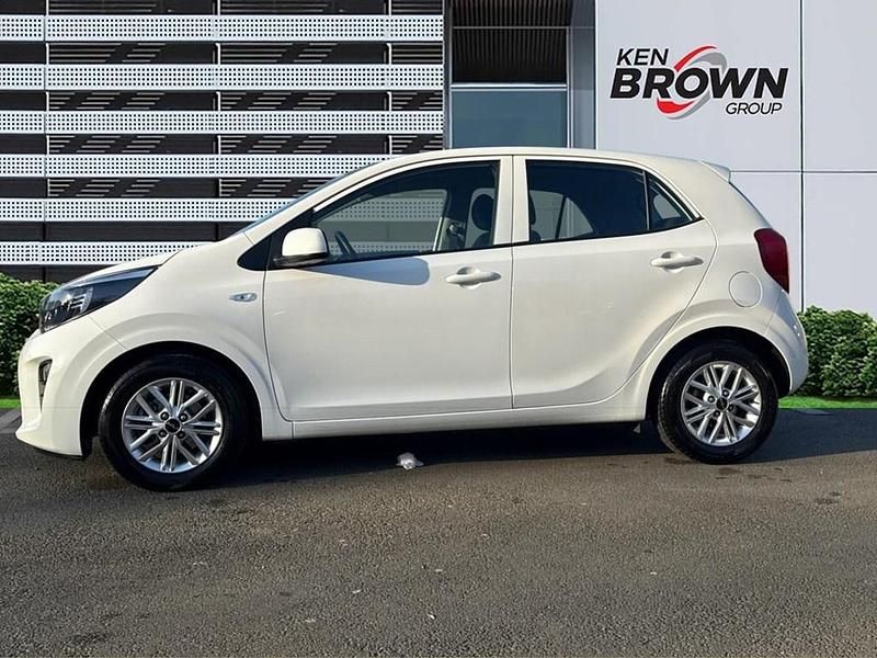 Used Kia Picanto 2024 White Hatchback