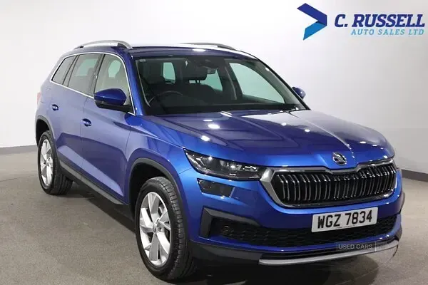 Used Skoda Kodiaq SE L 150 HP (110 kW) 2022 Blue SUV