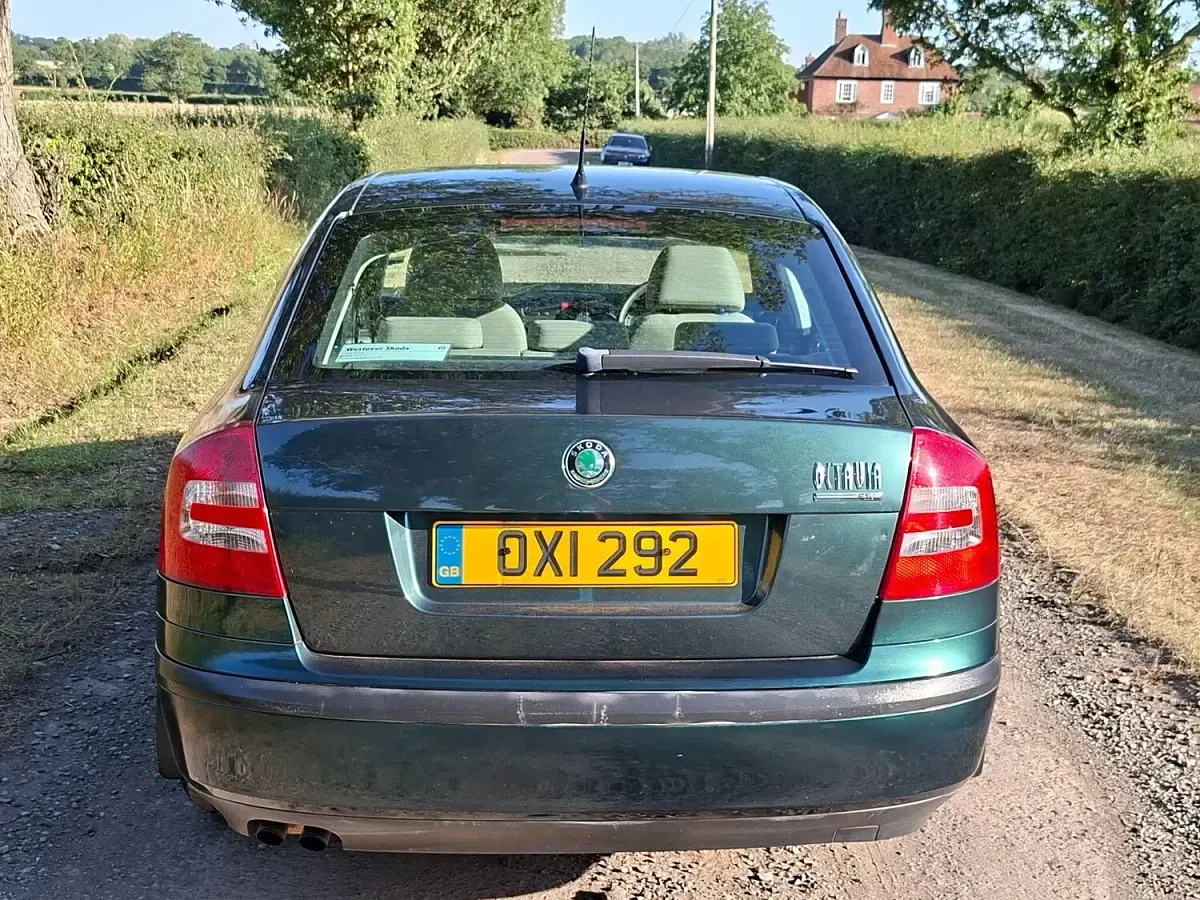 Used Skoda Octavia Ambiente 2009 Green