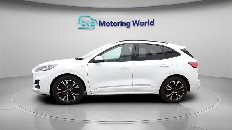 Used Ford Kuga ST-Line X 120 HP (88 kW) 2021 White SUV