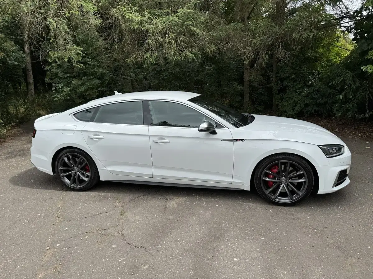 Used Audi S5 354 HP (260 kW) 2018 White Coupe