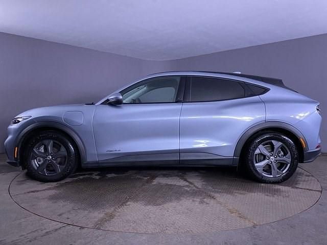 Usado Ford Mustang Standard Range 269 HP (197 kW) 2024 Multicolour SUV