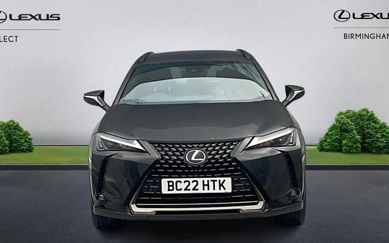 Used Lexus UX 250h 184 HP (135 kW) 2024 SUV
