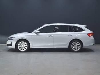 Used Skoda Octavia SE L 150 HP (110 kW) 2024 White Estate