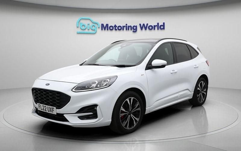 Used Ford Kuga ST-Line X 150 HP (110 kW) 2022 White SUV