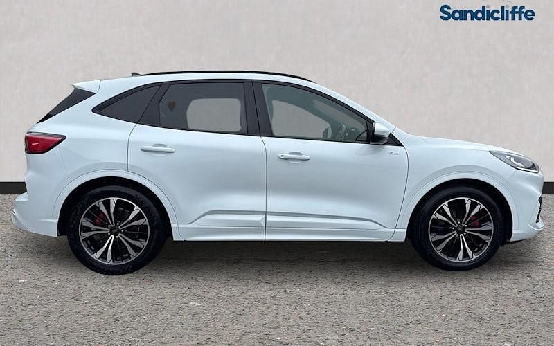 Used Ford Kuga ST-Line X 190 HP (139 kW) 2023 White SUV