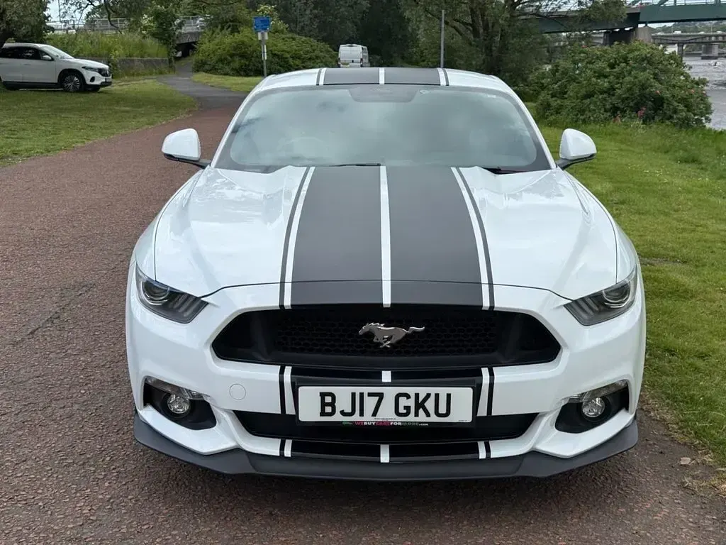 Used Ford Mustang GT Fastback 416 HP (305 kW) 2017 White Coupe