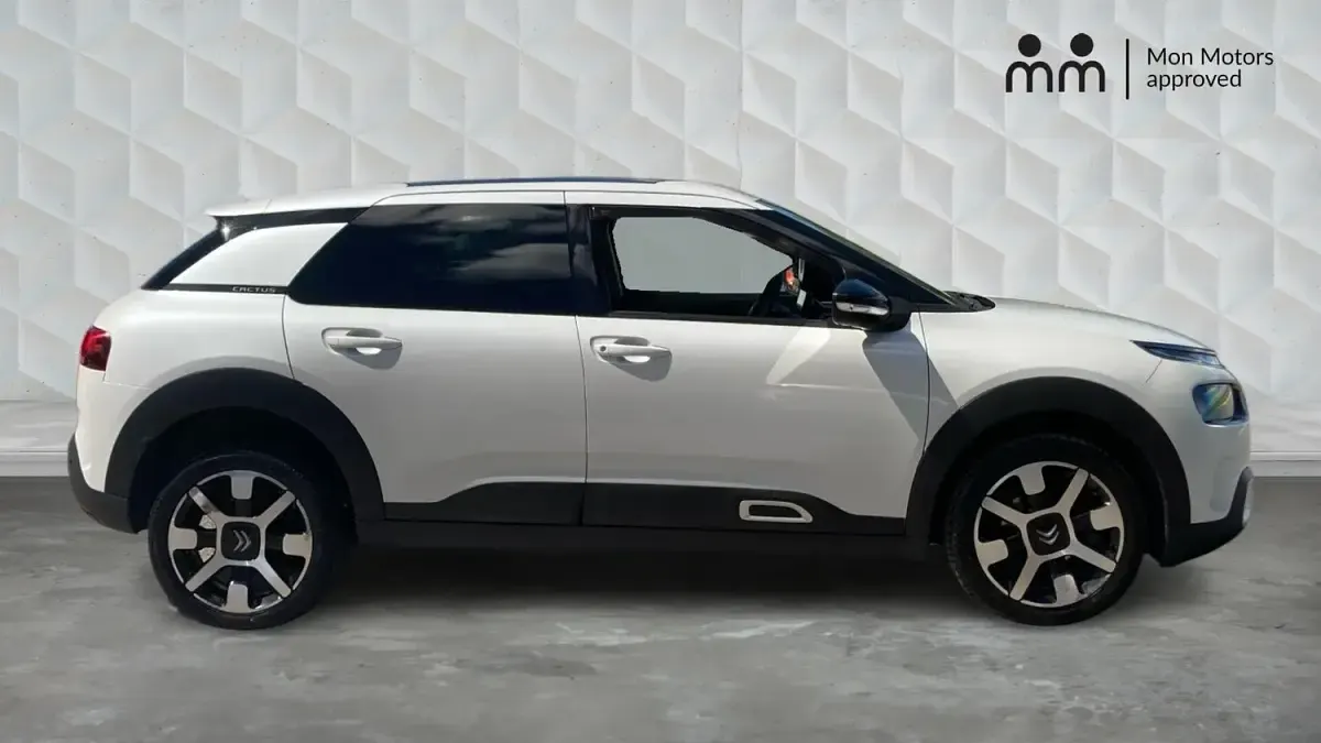 Used Citroën C4 Cactus Flair 110 HP (80 kW) 2018 White Hatchback