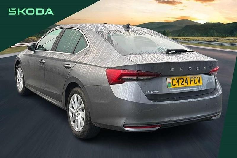 Used Skoda Octavia First Edition 150 HP (110 kW) 2024 Grey Hatchback