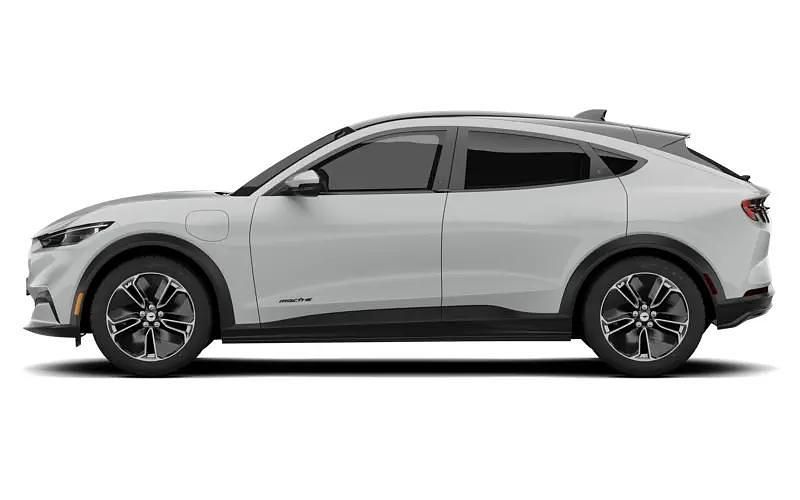 New Ford Mustang Premium 276 HP (202 kW) 2026 Estate