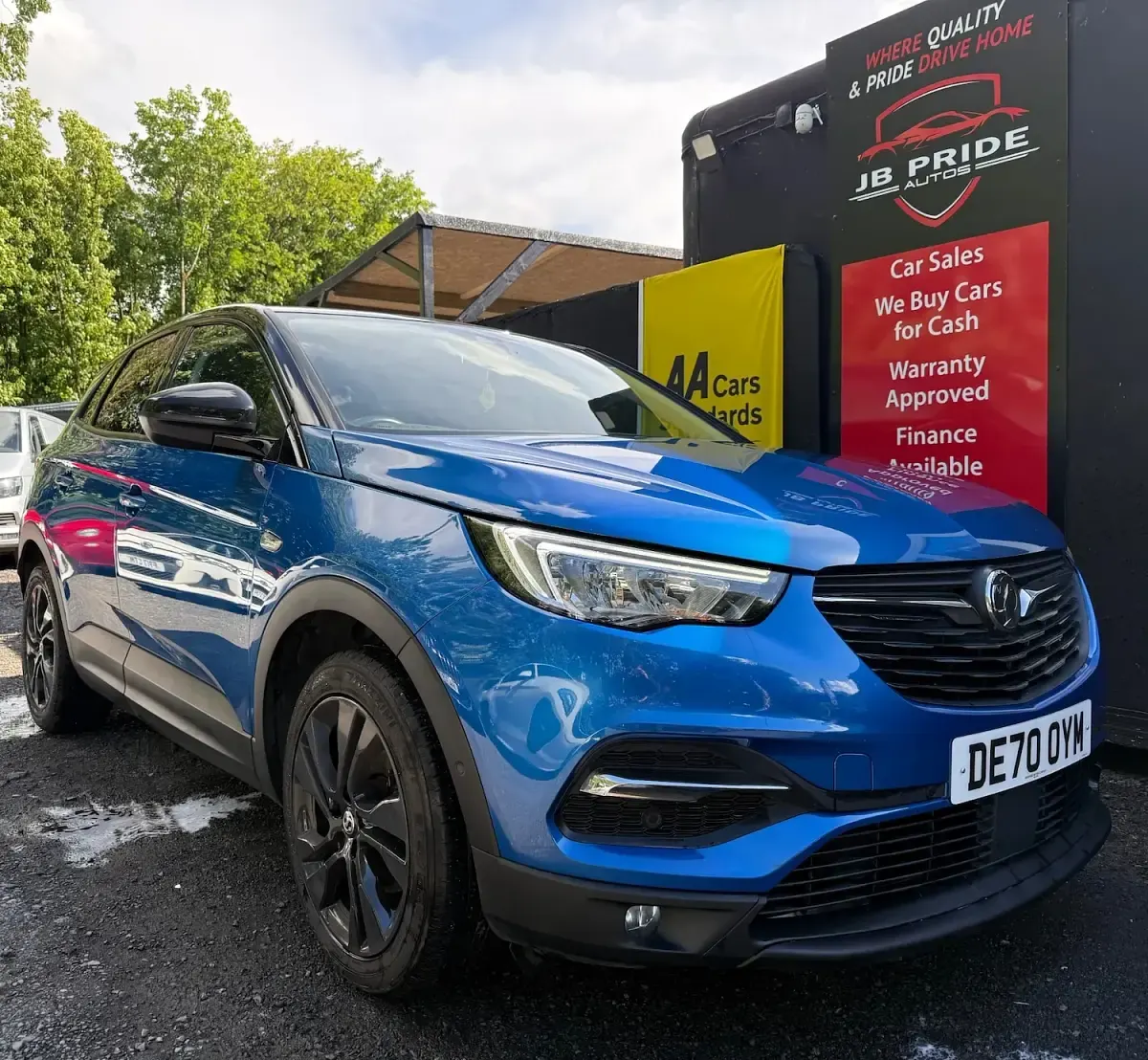 Used Vauxhall Grandland X SRi 130 HP (95 kW) 2020 Blue SUV