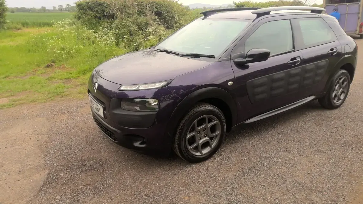 Used Citroën C4 Cactus Feel 82 HP (60 kW) 2015 Purple Hatchback