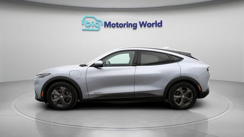Used Ford Mustang Mach-E Standard Range 194 kW (265 HP) 2024 Silver SUV
