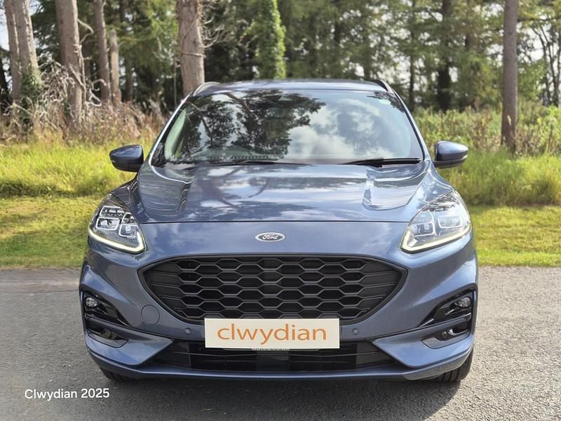 Used Ford Kuga ST-Line 150 HP (110 kW) 2022 Blue SUV