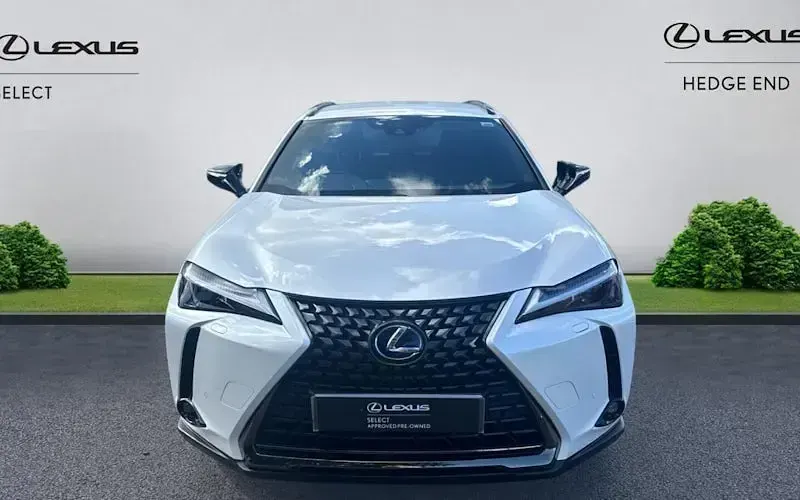 Usado Lexus UX 250h 184 CV (135 kW) 2024 SUV