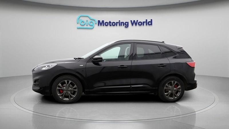 Used Ford Kuga ST-Line 150 HP (110 kW) 2022 Black SUV