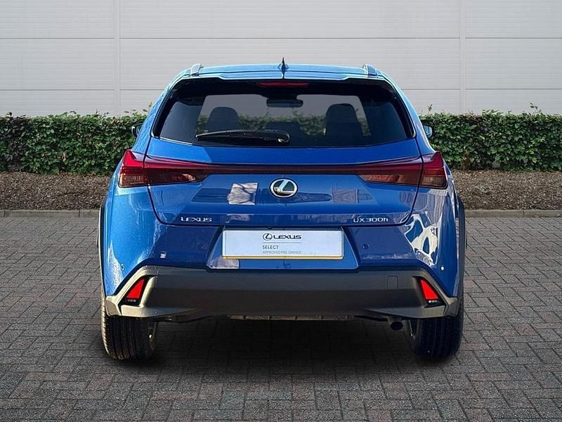 Used Lexus UX 300h 2025 Blue SUV