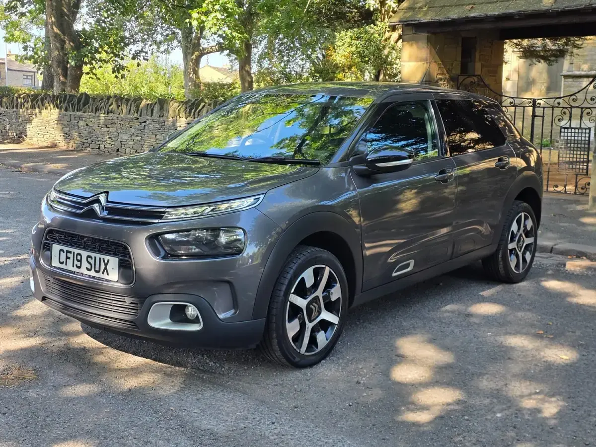 Used Citroën C4 Cactus Flair 100 HP (73 kW) 2019 Grey Hatchback
