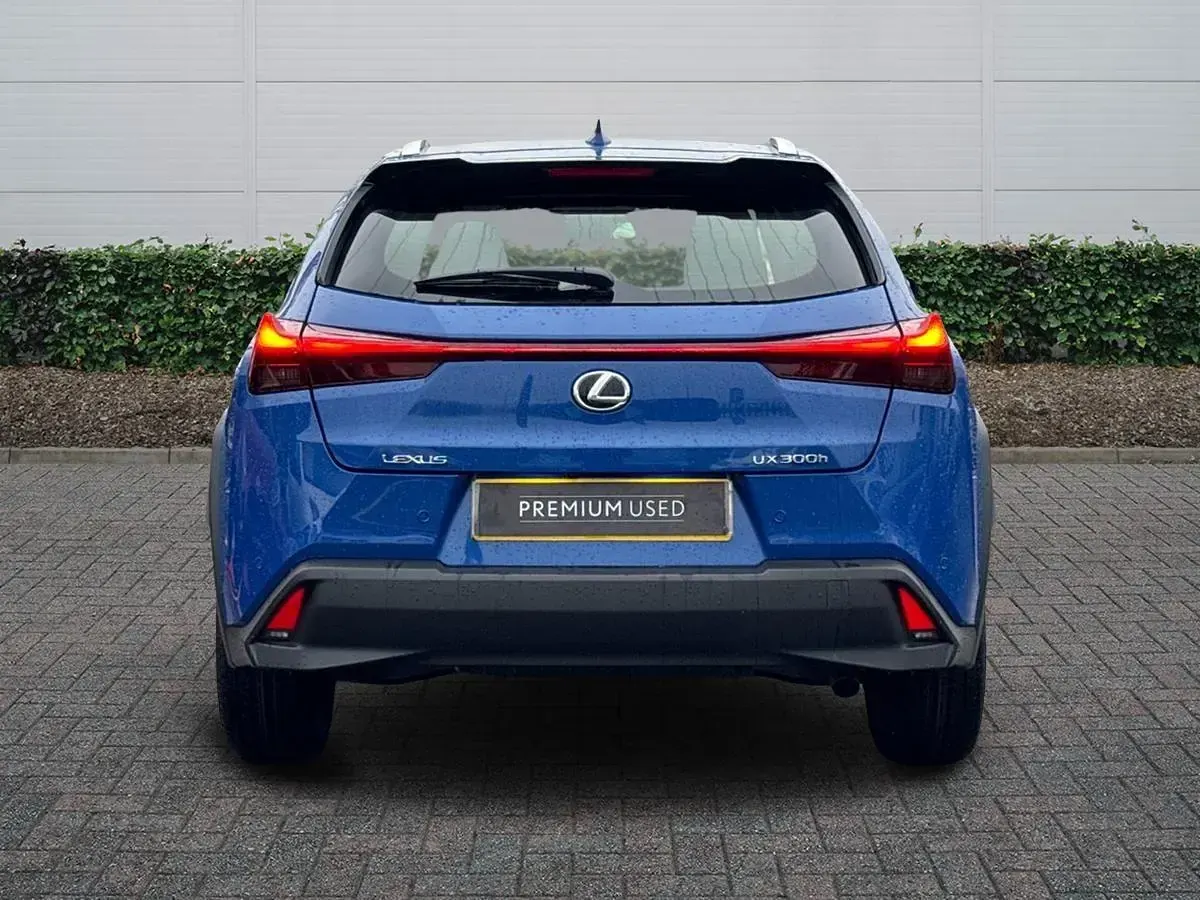 Used Lexus UX 300h 2026 Blue SUV