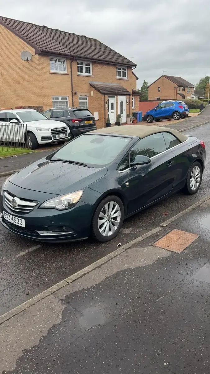 Used Vauxhall Cascada Elite 170 HP (125 kW) 2014 Green Cabriolet
