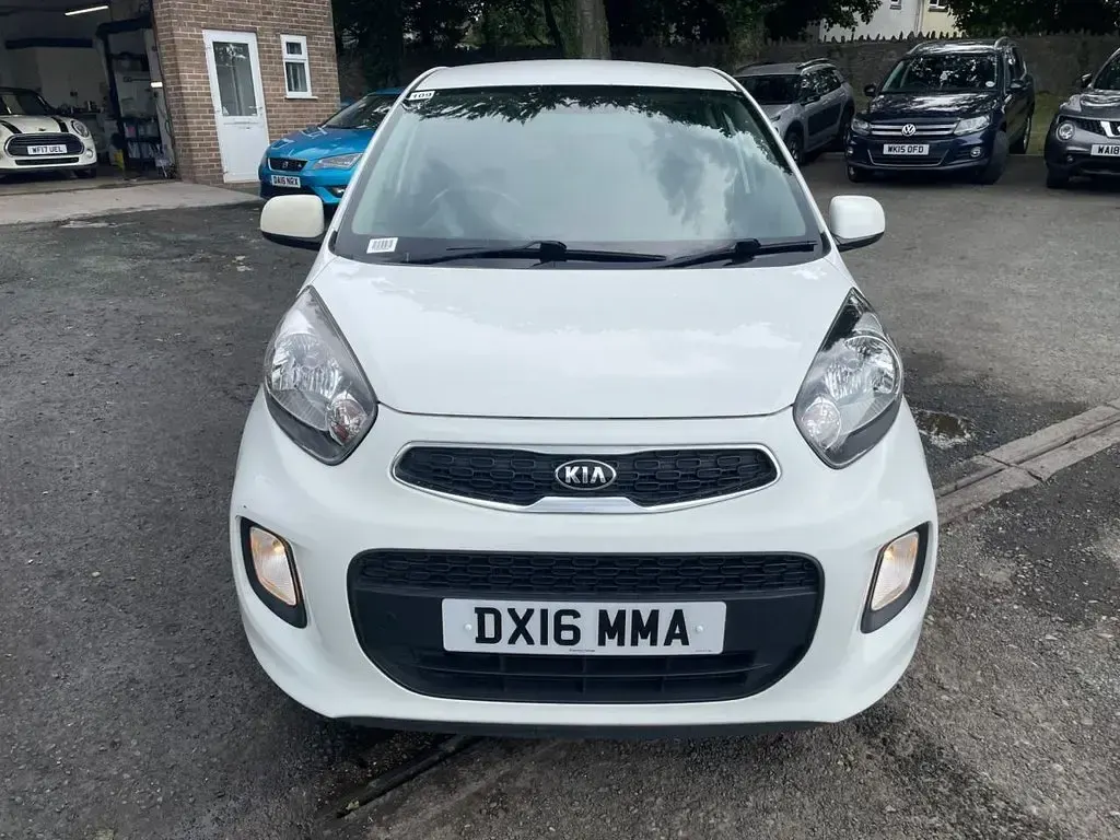 Used Kia Picanto 65 HP (47 kW) 2016 White Hatchback