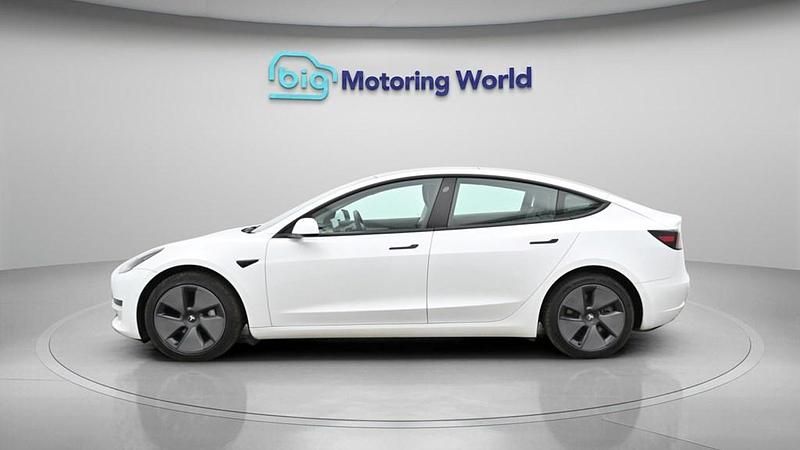 Used Tesla Model 3 Standard Range Plus 177 kW (241 HP) 2021 Sedan