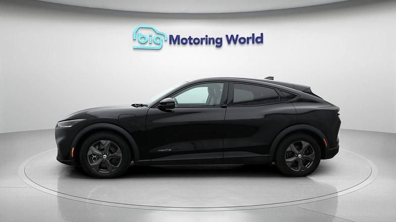 Used Ford Mustang Mach-E Standard Range 194 kW (265 HP) 2022 SUV