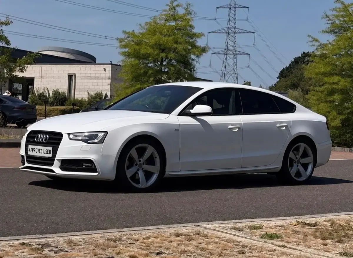 Used Audi A5 Black Edition 225 HP (165 kW) 2014 White Coupe