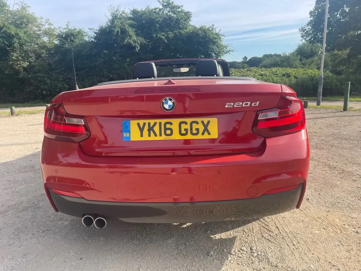 Used BMW 220 M Sport 2016 Red Cabriolet