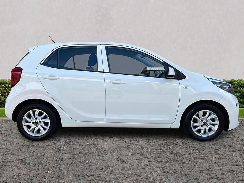 Used Kia Picanto 2019 White Hatchback