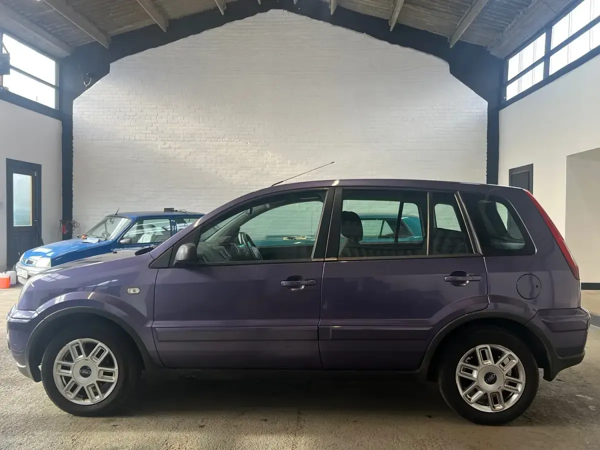 Used Ford Fusion Zetec 101 HP (74 kW) 2006 Purple Hatchback