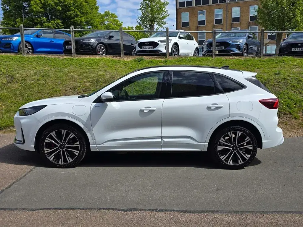 Used Ford Kuga ST-Line X 2024 White SUV
