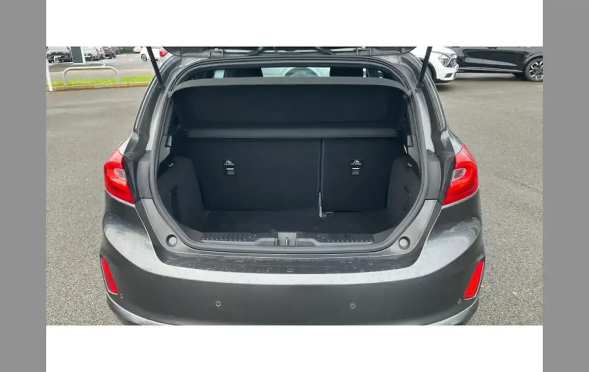 Used Ford Fiesta ST-Line 125 HP (91 kW) 2021 Grey Hatchback