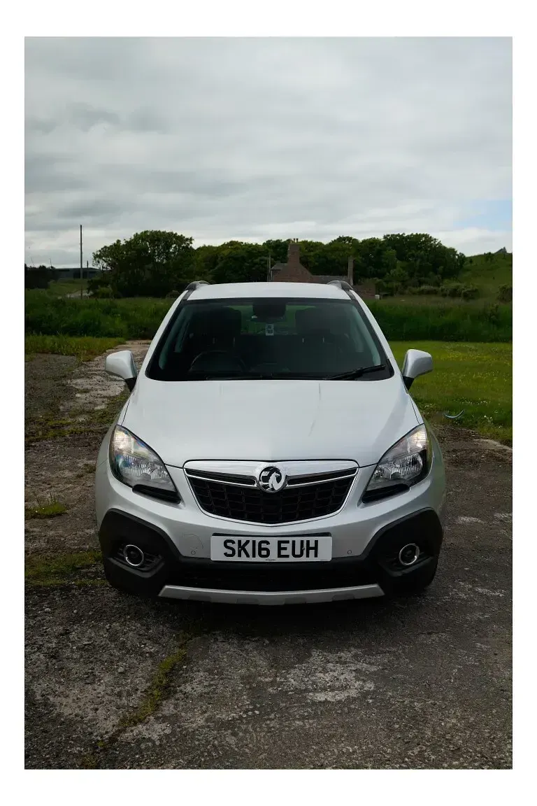 Used Vauxhall Mokka 115 HP (84 kW) 2016 Silver SUV