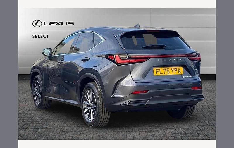 Used Lexus NX350h 243 HP (178 kW) 2025 Grey SUV