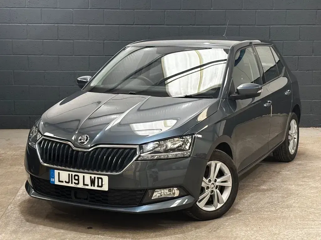 Used Skoda Fabia SE 110 HP (80 kW) 2019 Grey Hatchback