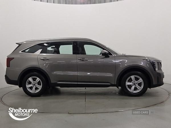 Used Kia Sorento 194 HP (142 kW) 2025 Grey SUV