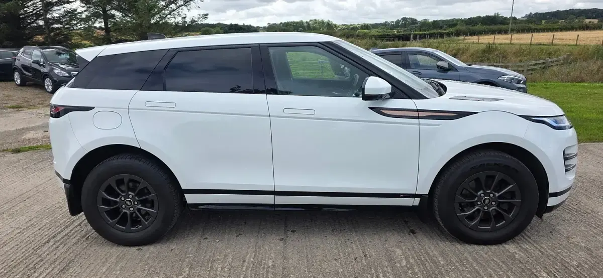 Used Land Rover Range Rover evoque R-Dynamic 150 HP (110 kW) 2020 White SUV