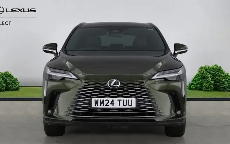 Used Lexus RX450h+ 309 HP (227 kW) 2024 Estate