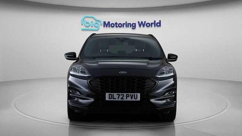 Used Ford Kuga ST-Line X 150 HP (110 kW) 2023 Black SUV