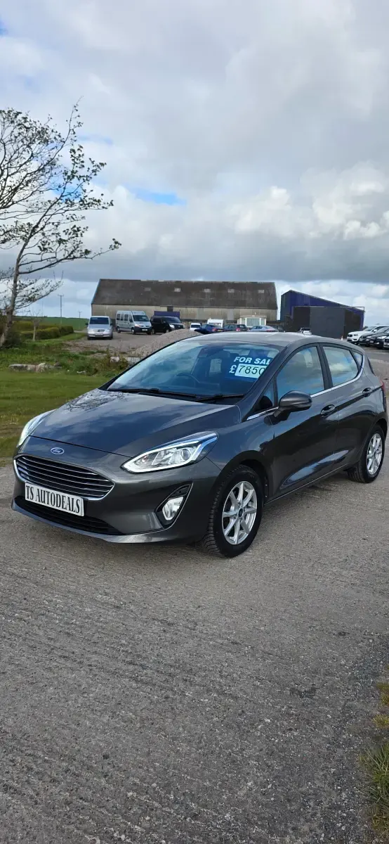 Used Ford Fiesta Zetec 85 HP (62 kW) 2018 Grey Hatchback