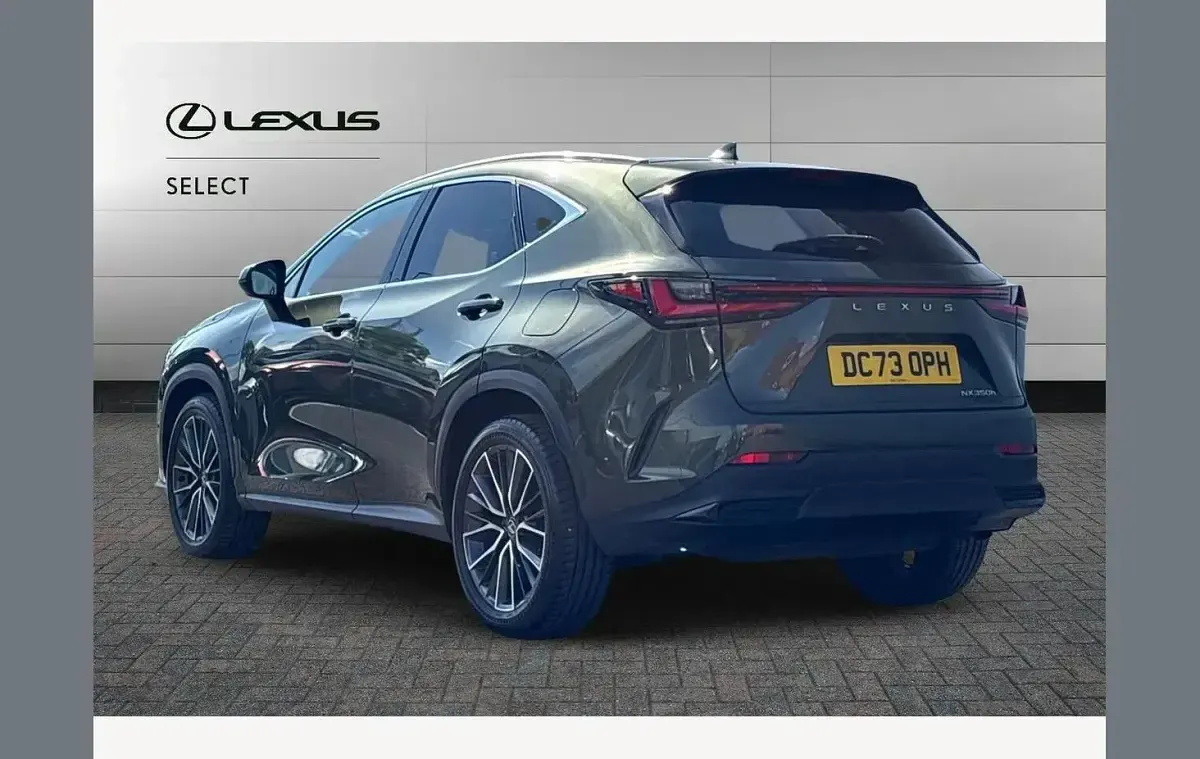 Used Lexus NX350h 245 HP (180 kW) 2024 Green SUV