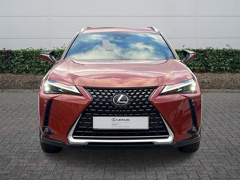 Used Lexus UX 300e 150 kW (204 HP) 2024 Orange SUV