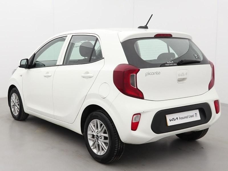 Used Kia Picanto 2023 White Hatchback