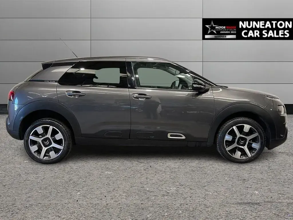 Used Citroën C4 Cactus Flair 110 HP (80 kW) 2019 Grey Hatchback