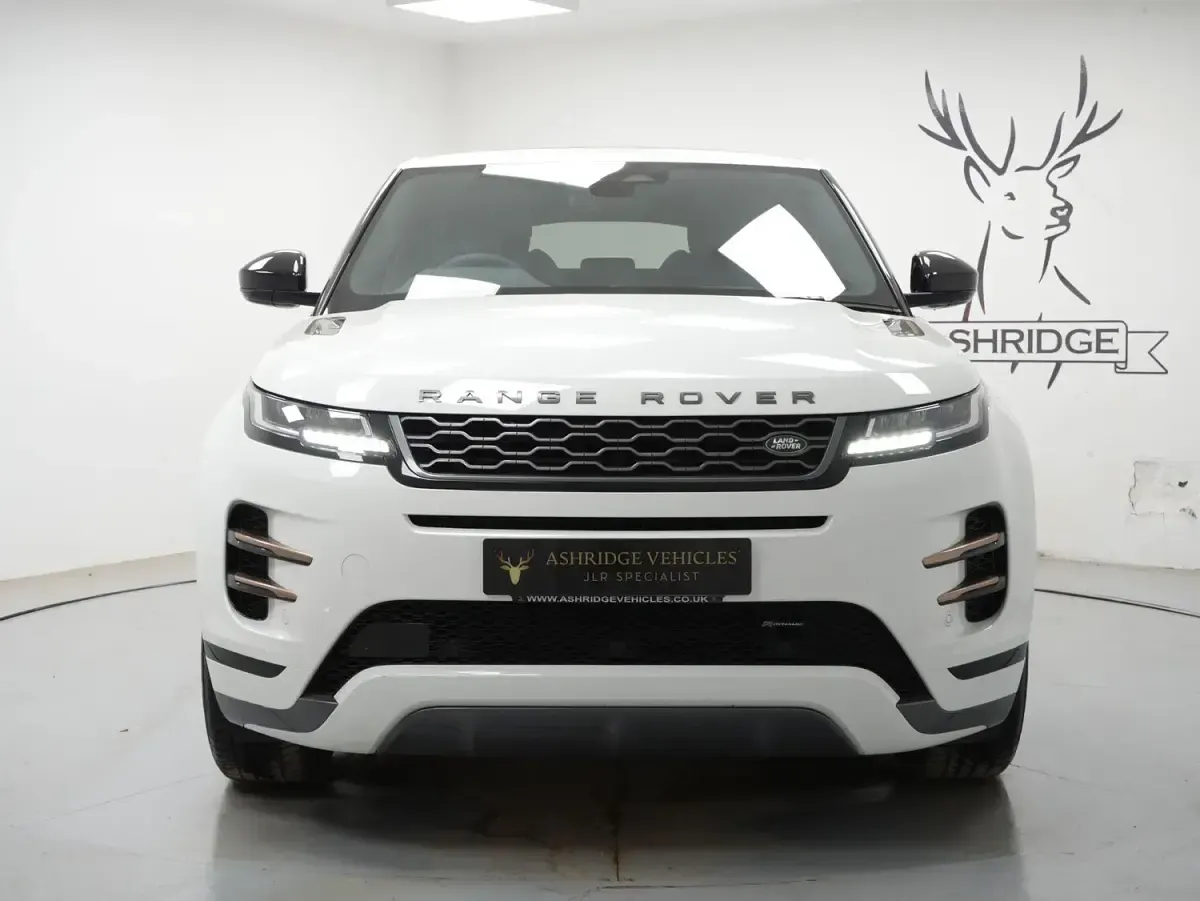 Used Land Rover Range Rover evoque R-Dynamic 309 HP (227 kW) 2022 White SUV