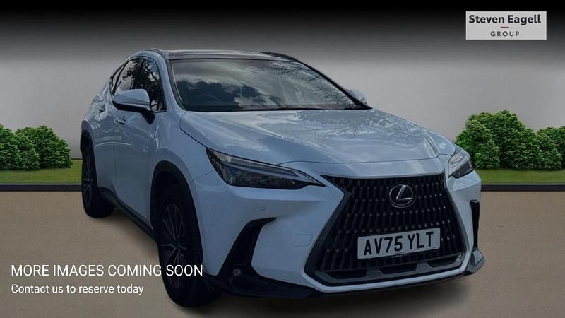 Used Lexus NX350h 2025 White Estate