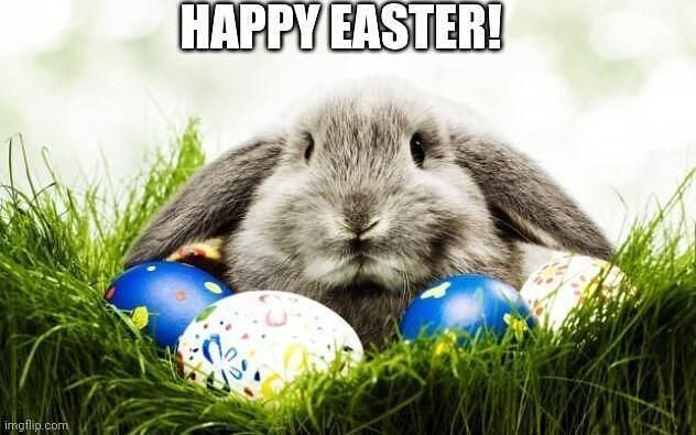 Used Citroën C4 Feel 114 HP (83 kW) 2017 Grey Hatchback