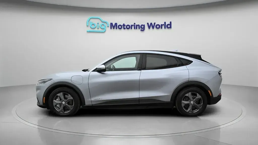 Gebraucht Ford Mustang Mach-E Standard Range 197 kW (269 PS) 2024 SUV