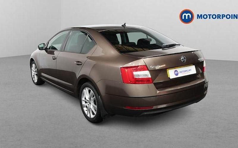 Used Skoda Octavia SE L 150 HP (110 kW) 2019 Brown Hatchback